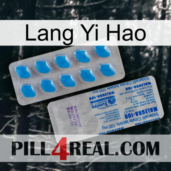 Lang Yi Hao new15.jpg